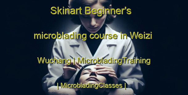 Skinart Beginner's microblading course in Weizi Wuchang | MicrobladingTraining | MicrobladingClasses | SkinartTraining-China
